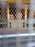 Dmitry Golik and Alexei Berchuk do not lose heart while on the train on the way to the Blagoveshchensk pre-trial detention center