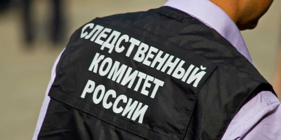 Havainnollistava kuva. Kuvan lähde: Moscow-Live Photobank / CC BY-SA 2.0